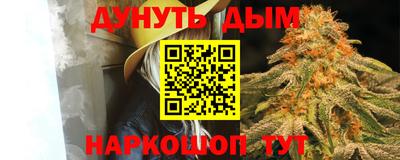 сатива Кунгур