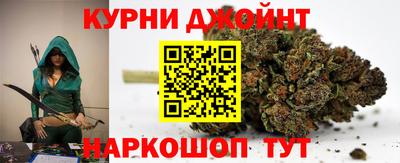 сатива Кунгур