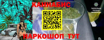 сатива Кунгур