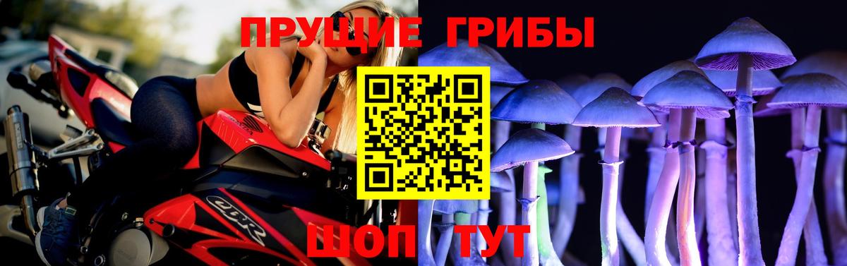 Канаш  как найти закладки  Вход с VPN  Галлюциногенные грибы Psilocybine cubensis  Галлюциногенные грибы прущие грибы 